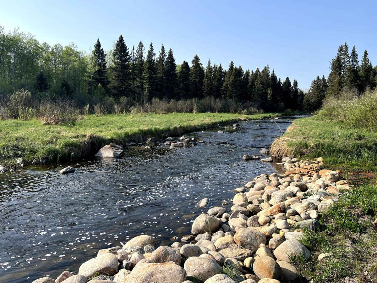 Lake Audy Road photo 6