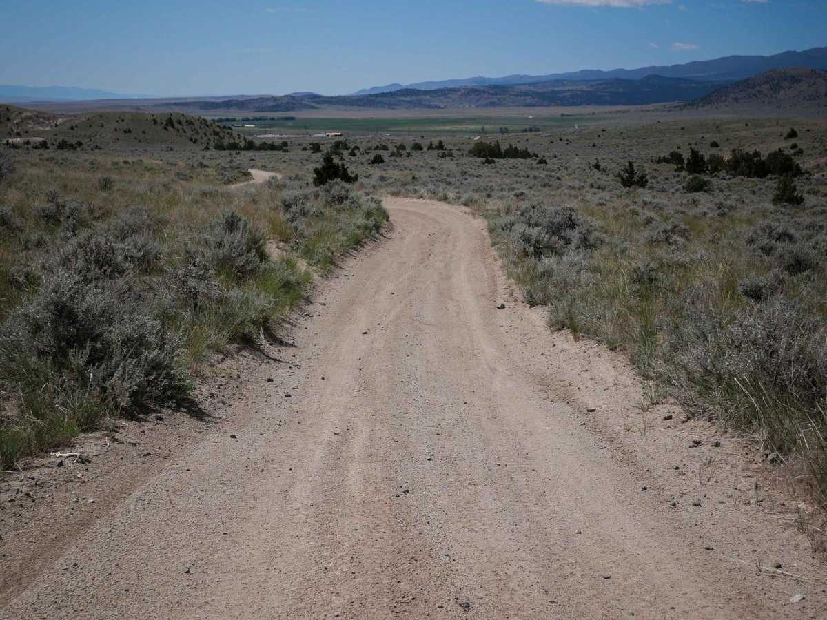 BLM 3 photo 4