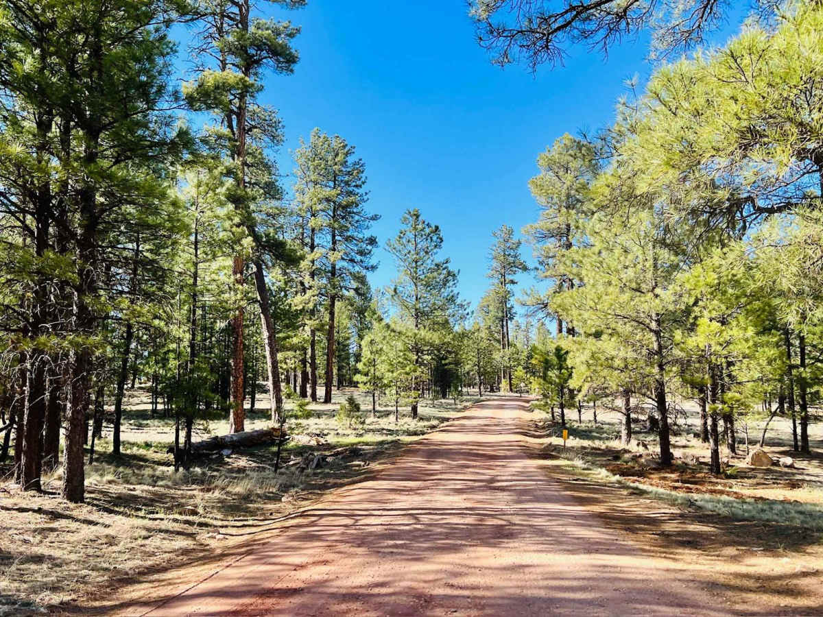 Long Lake photo 4