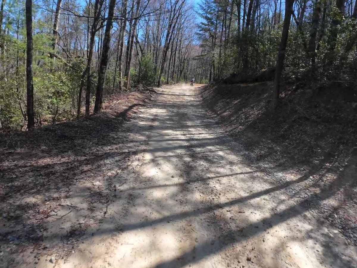 Canebrake Road photo 3