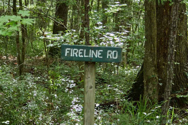 Fireline Road