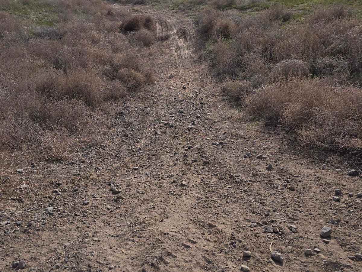 Rock n Roll Ravine photo 3