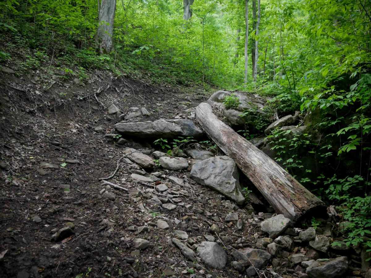 B74 trail photo