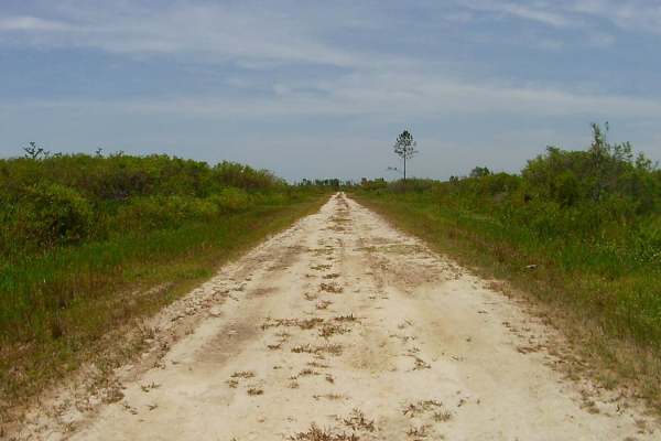 Sandy Road