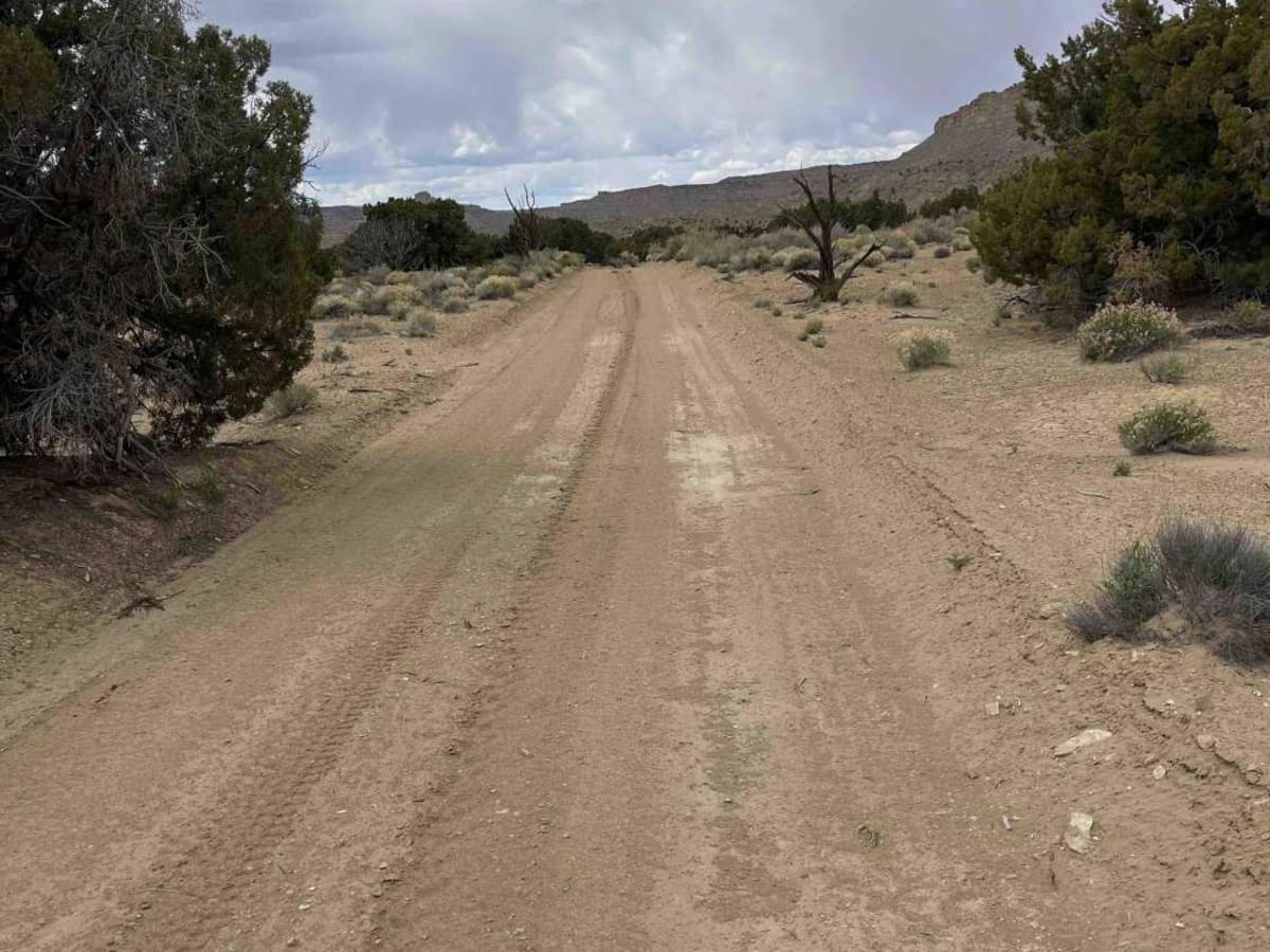 Heads of the Creek Road photo 2