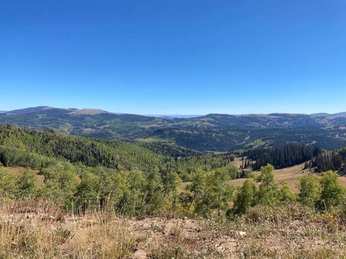 Duchesne Ridge trail photo