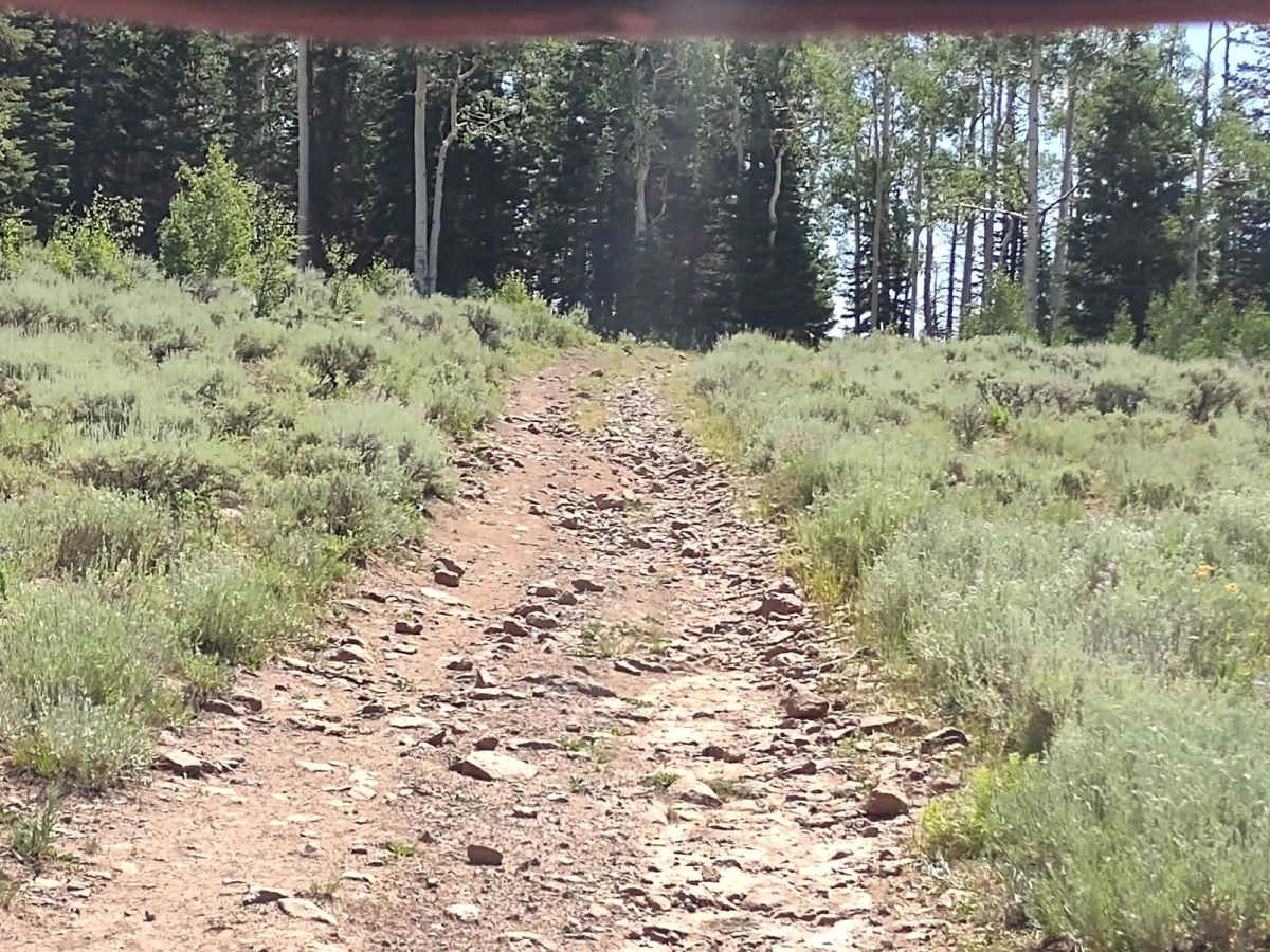Indian Peak Trail - FS 40180 photo 6
