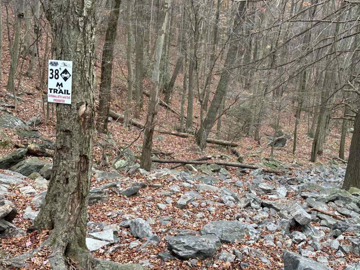 38 Black trail photo