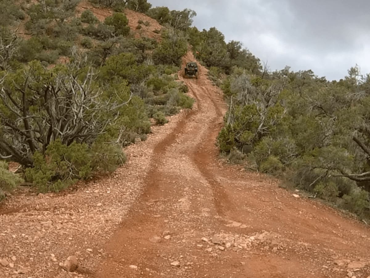 Spring Mountain Recreation Area - Side Trail 01 photo 5