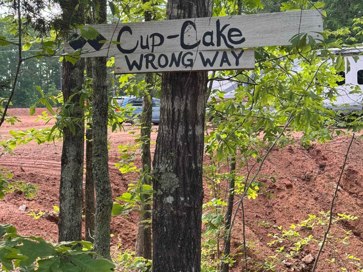 Cupcake trail photo