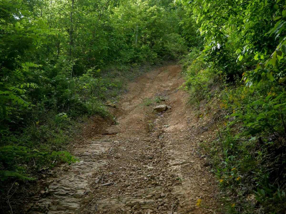 MV55 photo 4