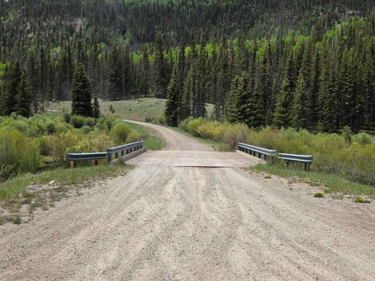 Fox Mountain Road trail photo