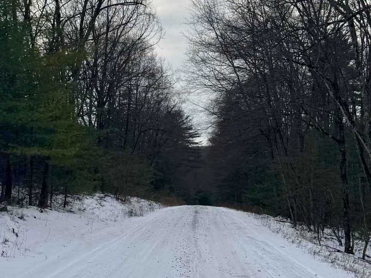 Garden Hollow Road trail photo