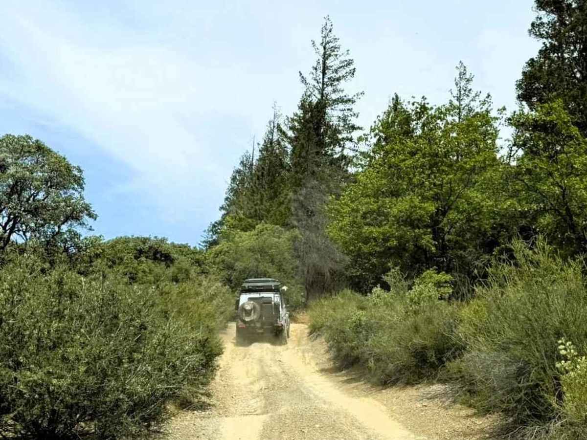 Erickson Ridge Loop trail photo
