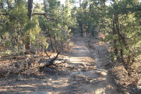 Cow Creek Loop