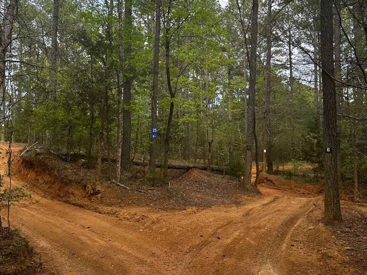Trail 6 photo 2