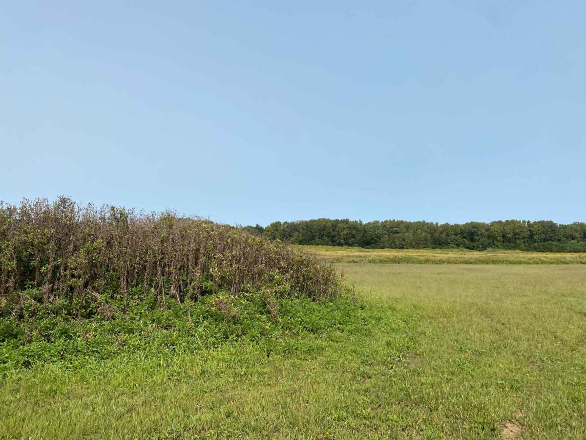 Turtle Trail photo 6