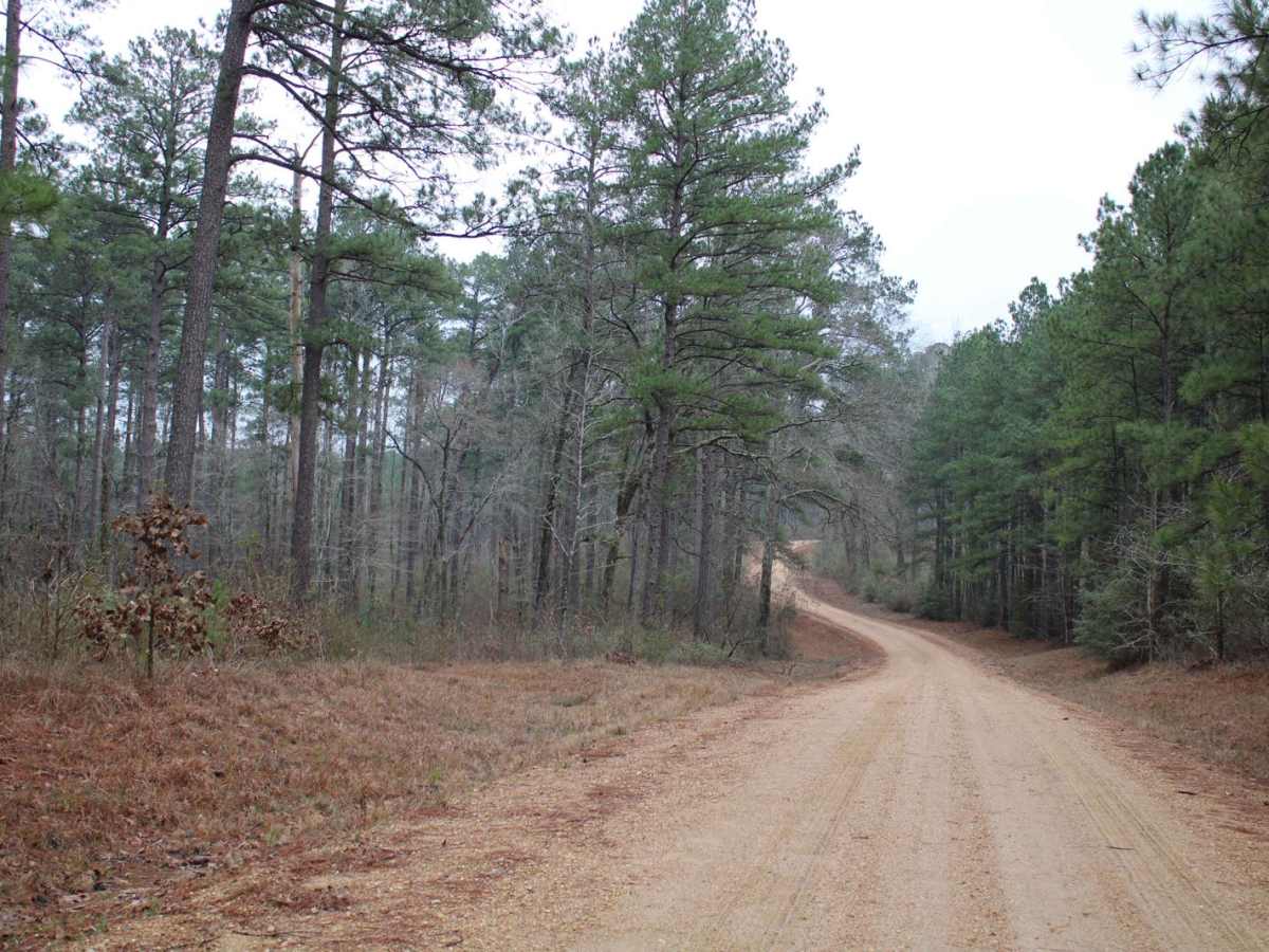 Plane Road (545) photo 2