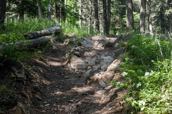 Canfield Mountain- Trail 5