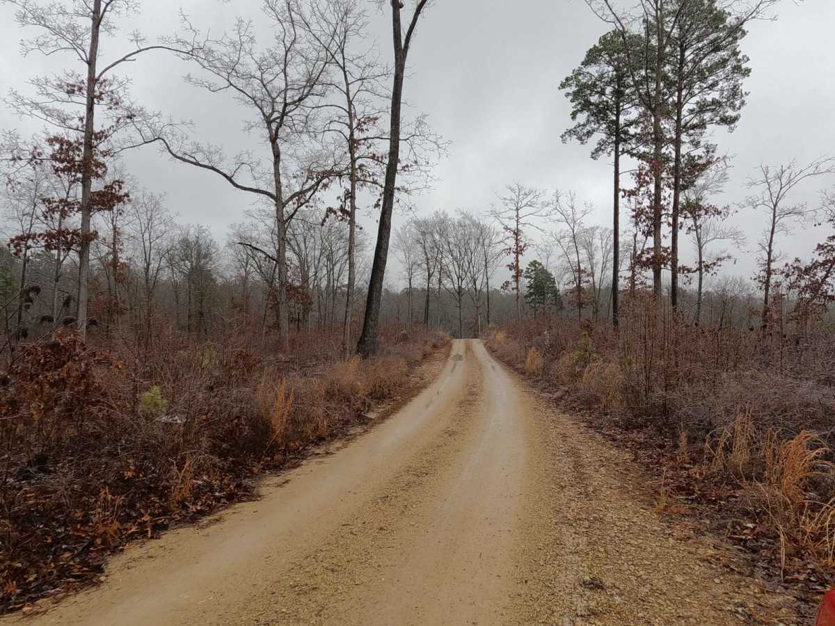Timber Lane - FS 2514 photo 2