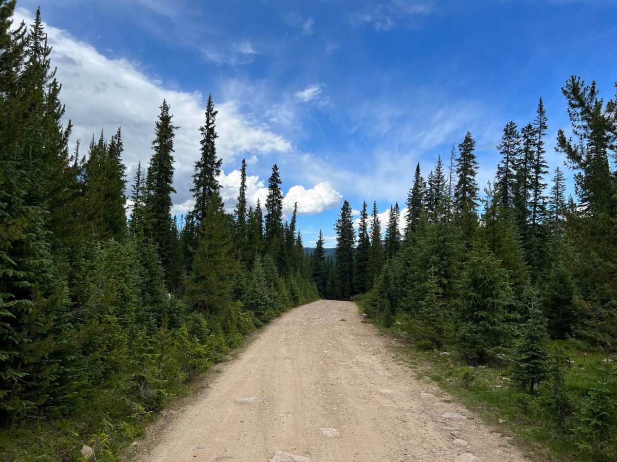 Meadow Creek Reservoir CR 84 trail photo