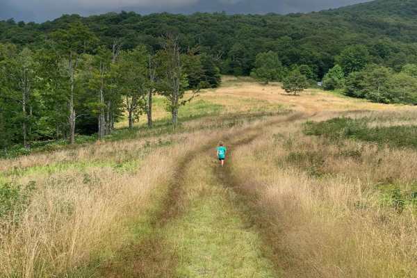 Wigg Meadow