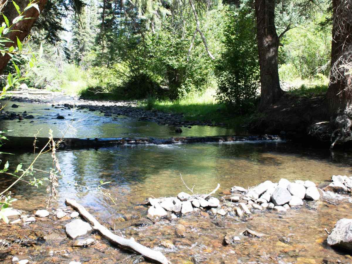 Curecanti Creek Road FR 720 trail photo