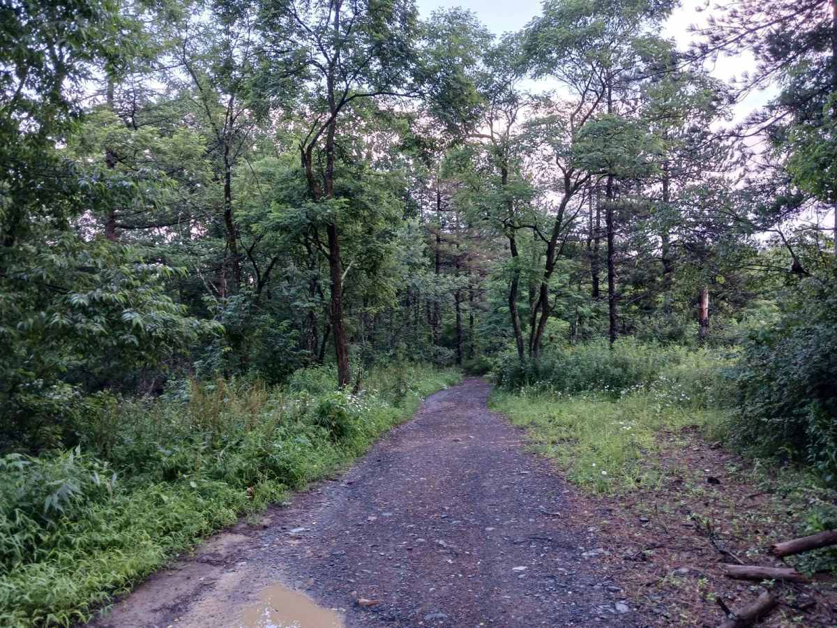 Trail 12L - Rock Run Recreation Area photo 5