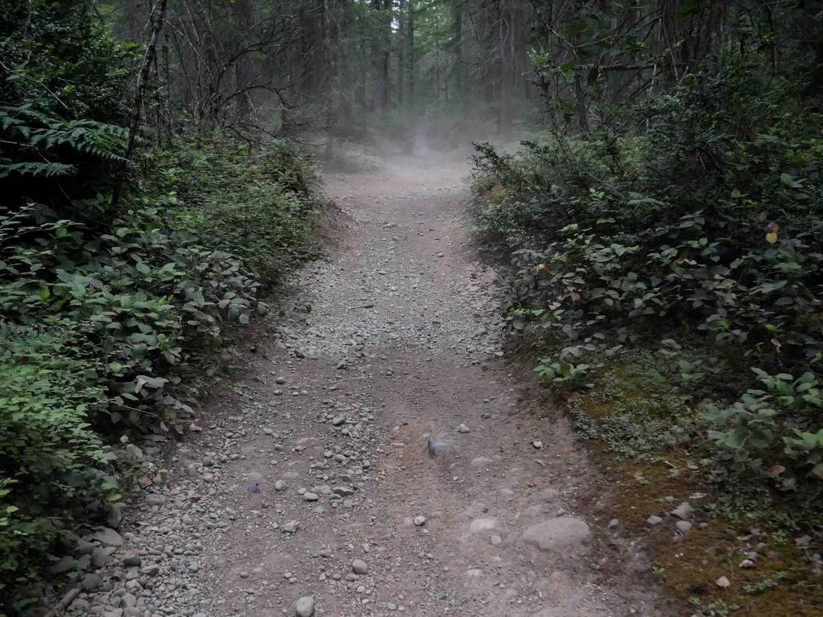 Staging Access Trail trail photo