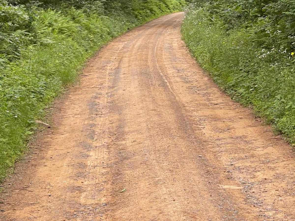 Shaw Mountain Road photo 2