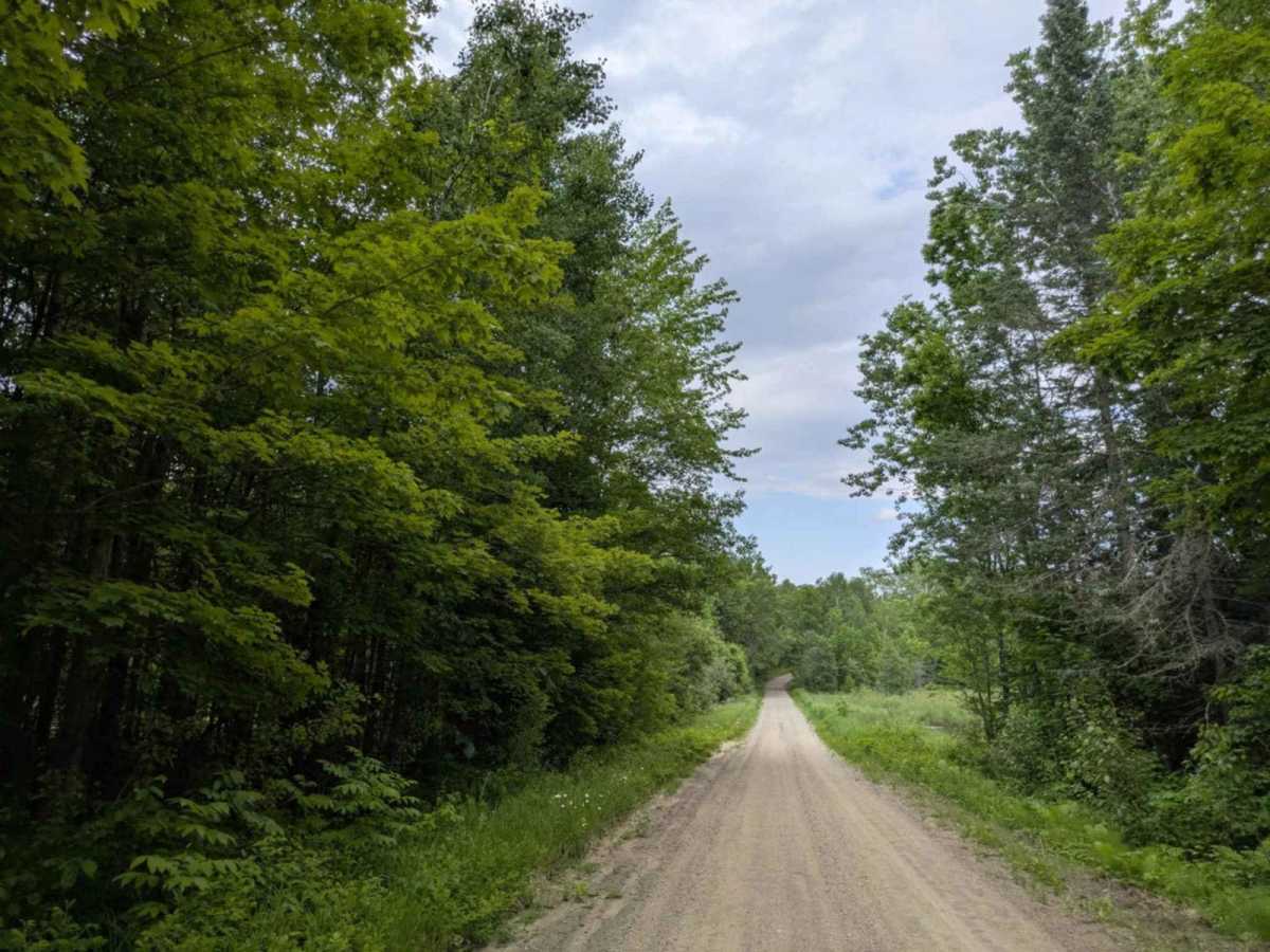 FS 2153 trail photo