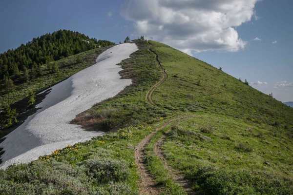 East Slope of Old Baldy Peak