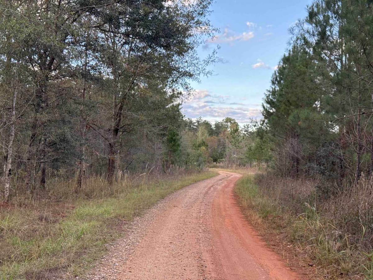 Mud Creek Road photo 3