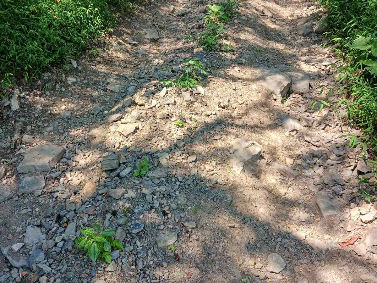 Trail 14C - Rock Run Recreation Area photo 5