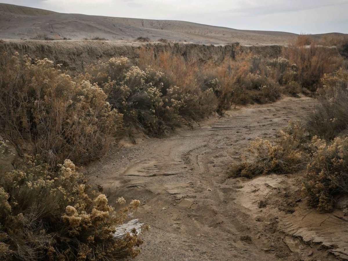 Canyon Arch photo 6