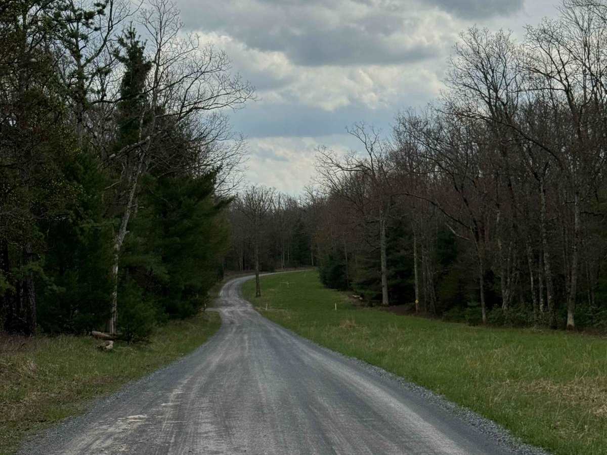 Ritchie Road photo 5