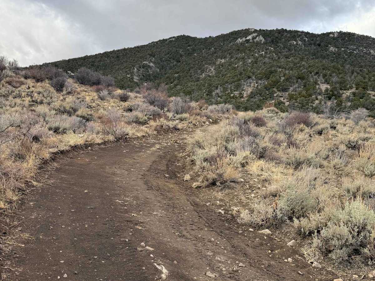 Patterson Pass Loop photo 5