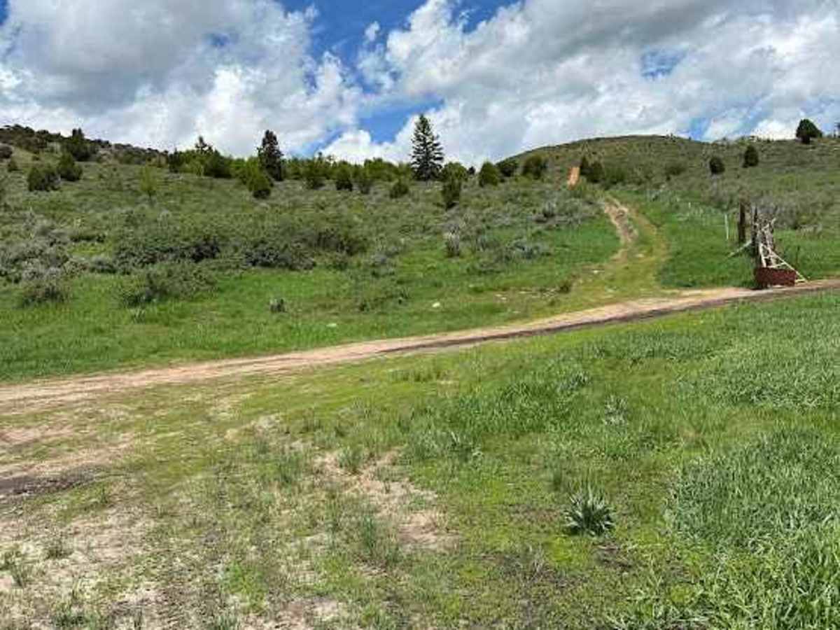 Razorback Ridge trail photo