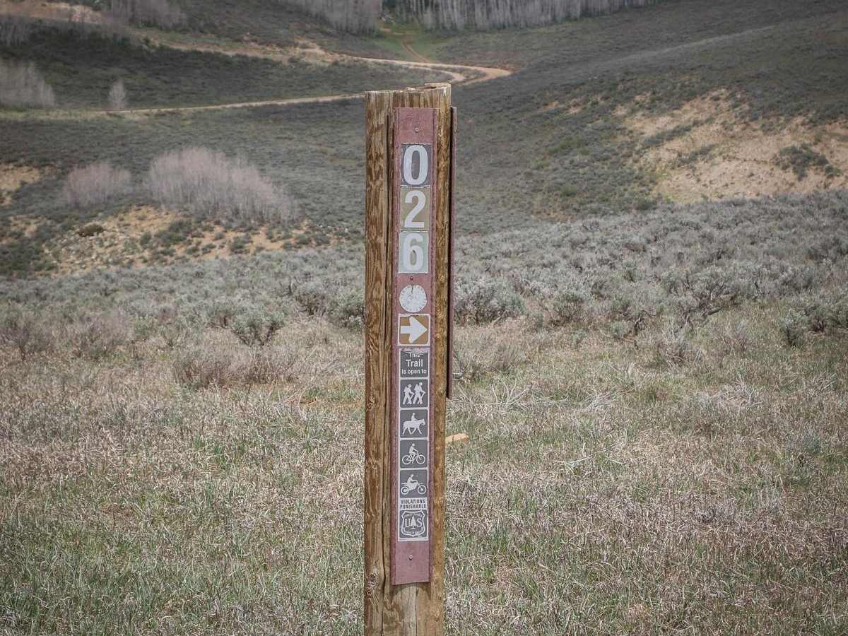 Buffalo Canyon #026 trail photo