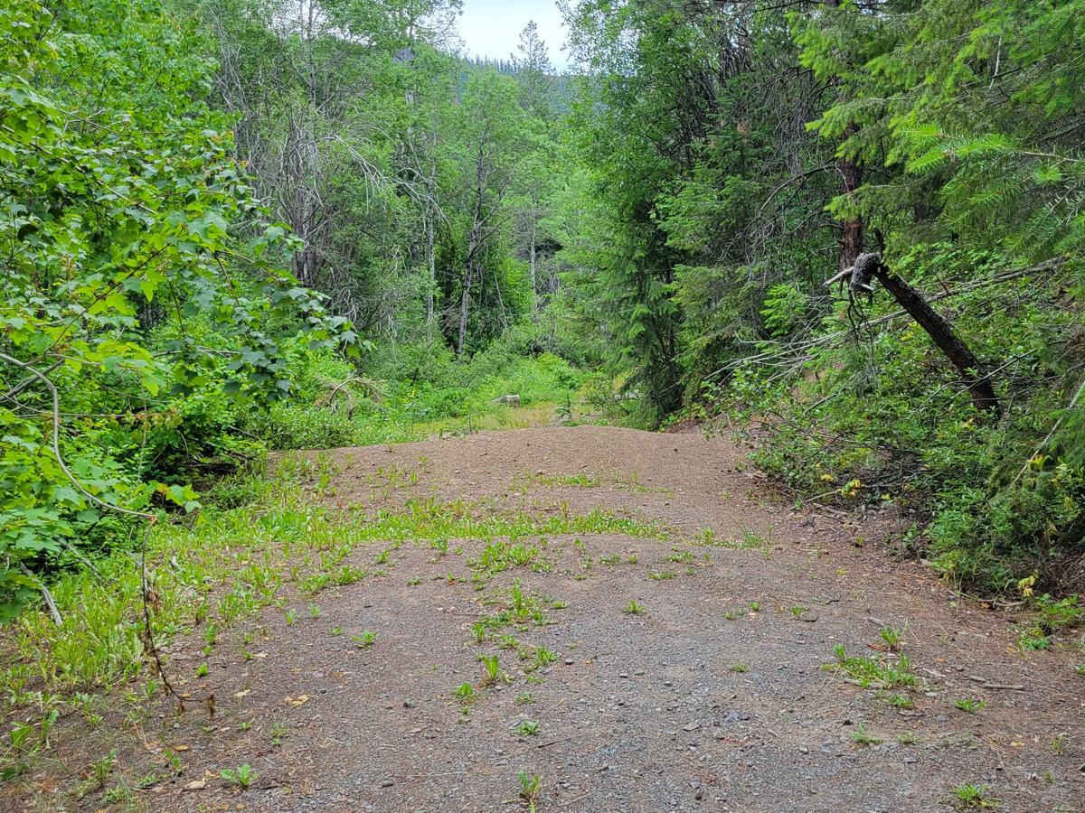 Newby Creek (4350100) photo 5