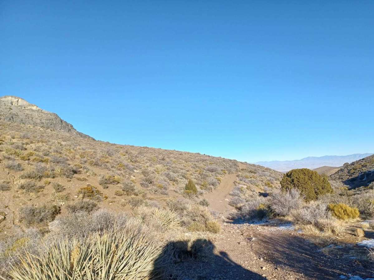 Noides Road photo 3