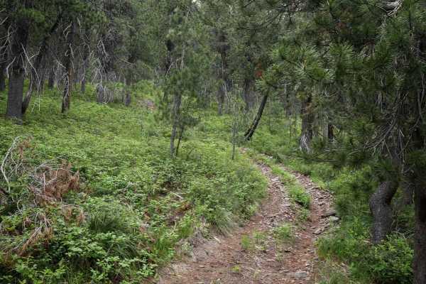 Flume Ridge ATV