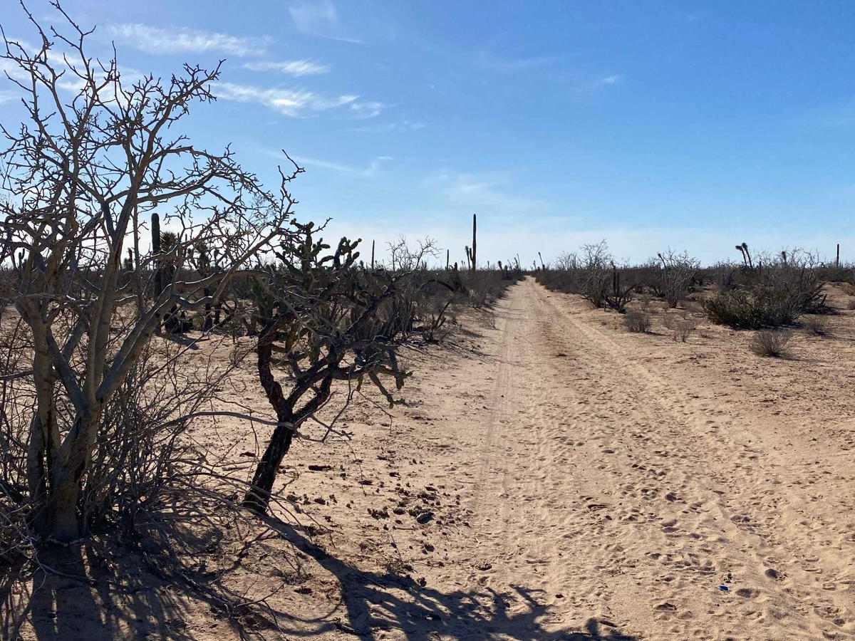 Vizcaino Cutoff photo 4