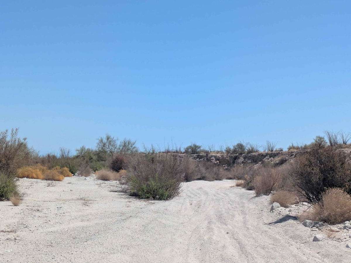 Sandtrap Wash photo 5