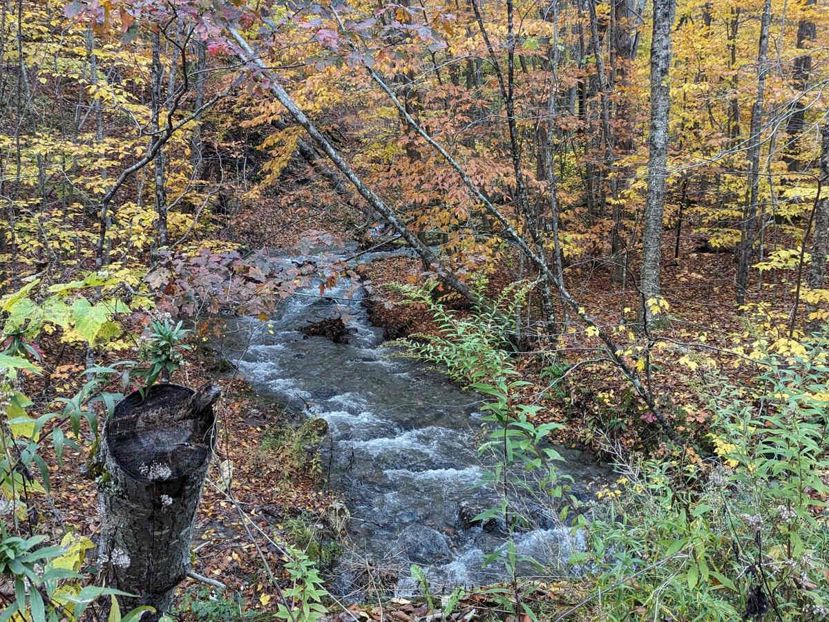 Cowdry Hollow to Comstock Hollow Road photo 2