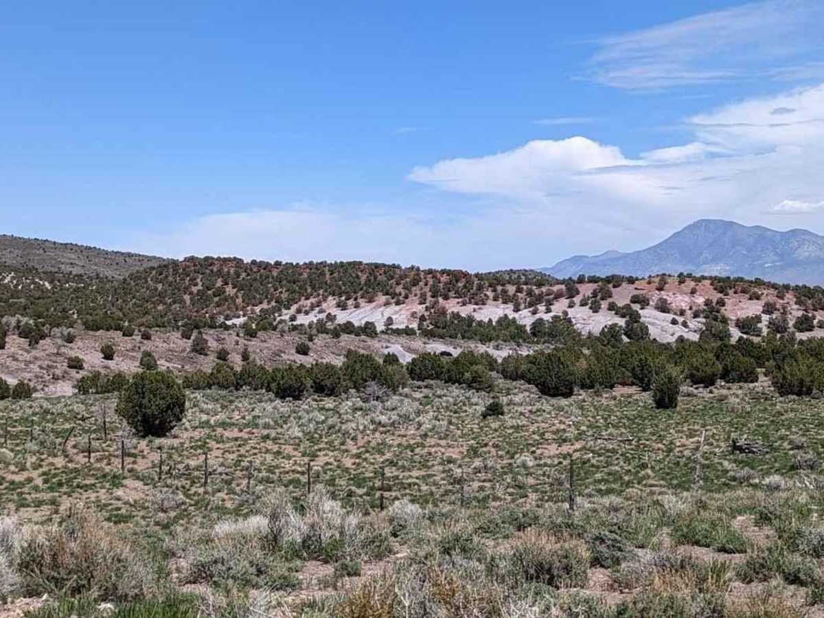 Baudino Ranch Road photo 6