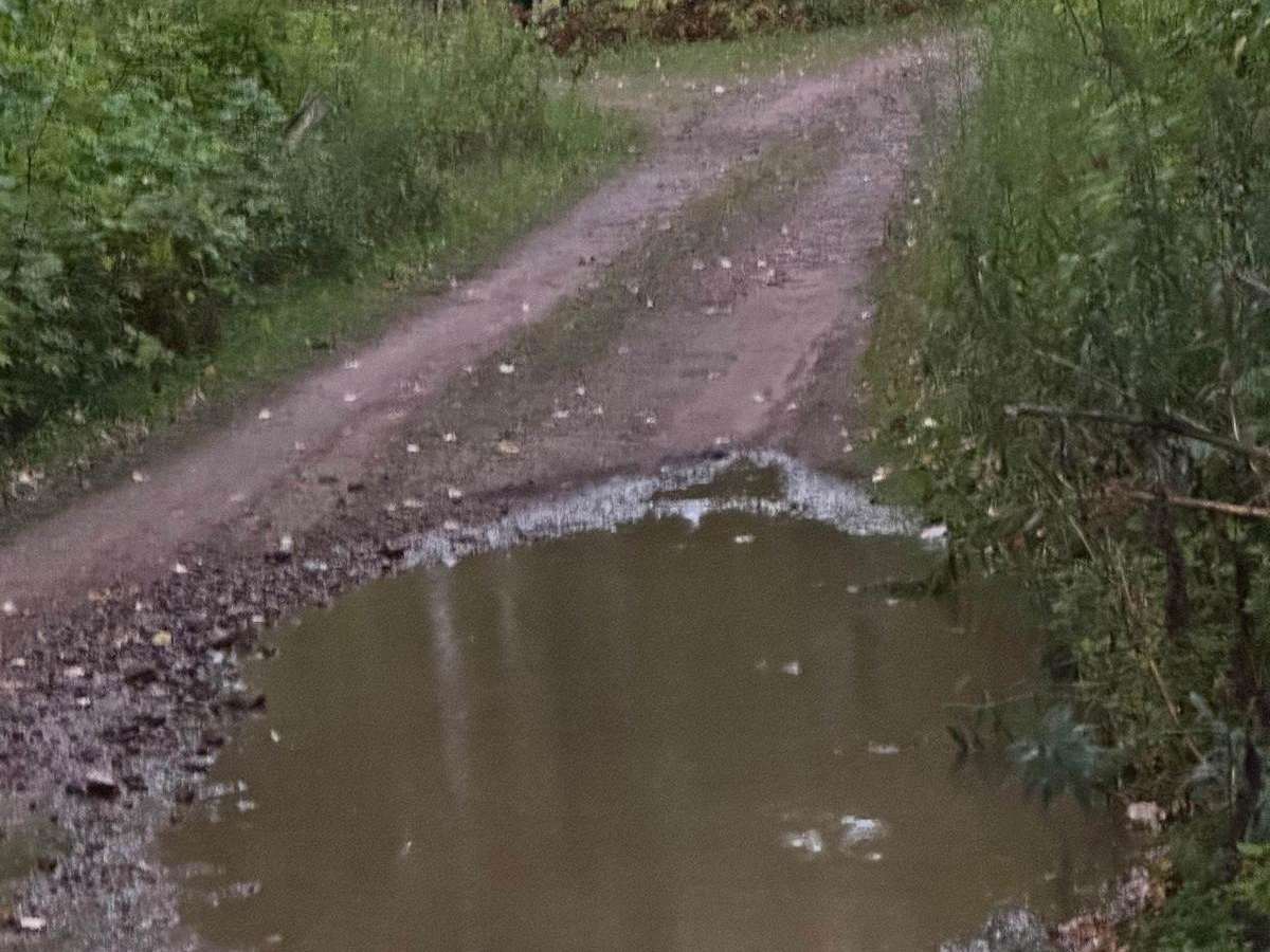 FS 2000 trail photo