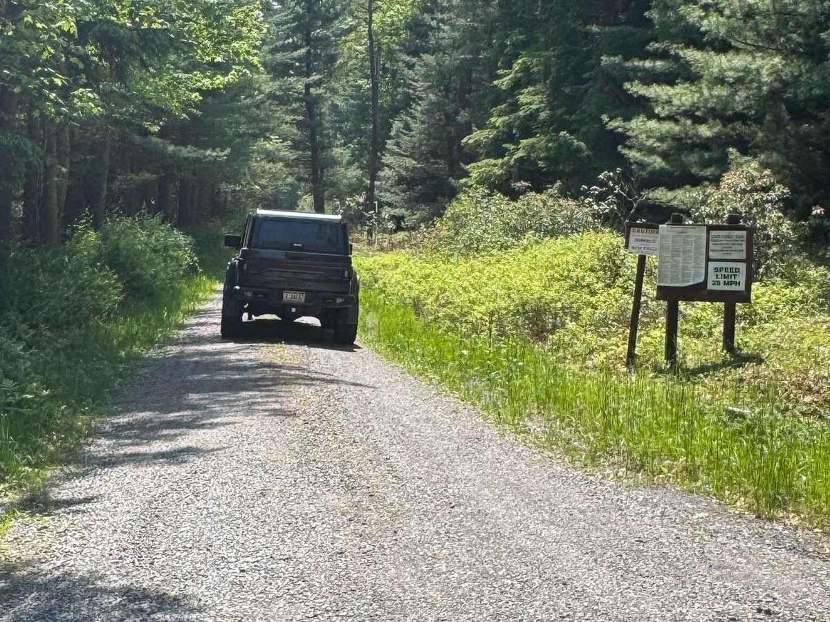 Right Branch Hyner Run Road photo 2
