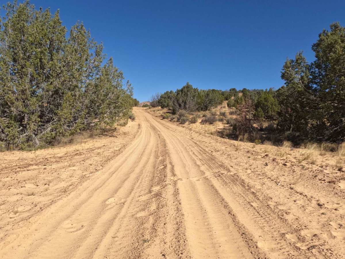 Nephi Pasture Road trail photo