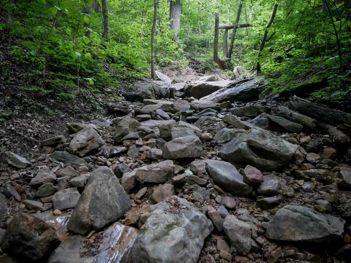 B77 trail photo
